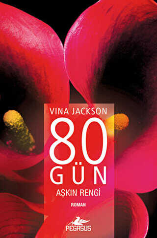 80 Gn Akn Rengi