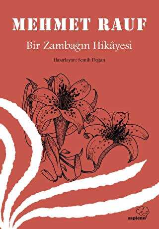 Bir Zamban Hikayesi