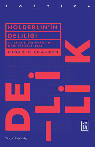 Hölderlin`in Deliliği