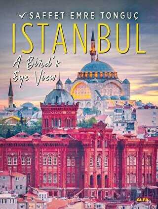 Istanbul A Birds Eye View