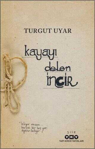 Kayay Delen ncir