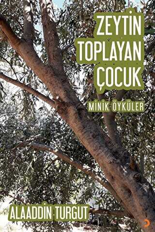 Zeytin Toplayan ocuk